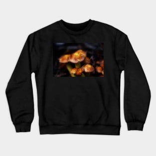 Mushrooms, macro Crewneck Sweatshirt